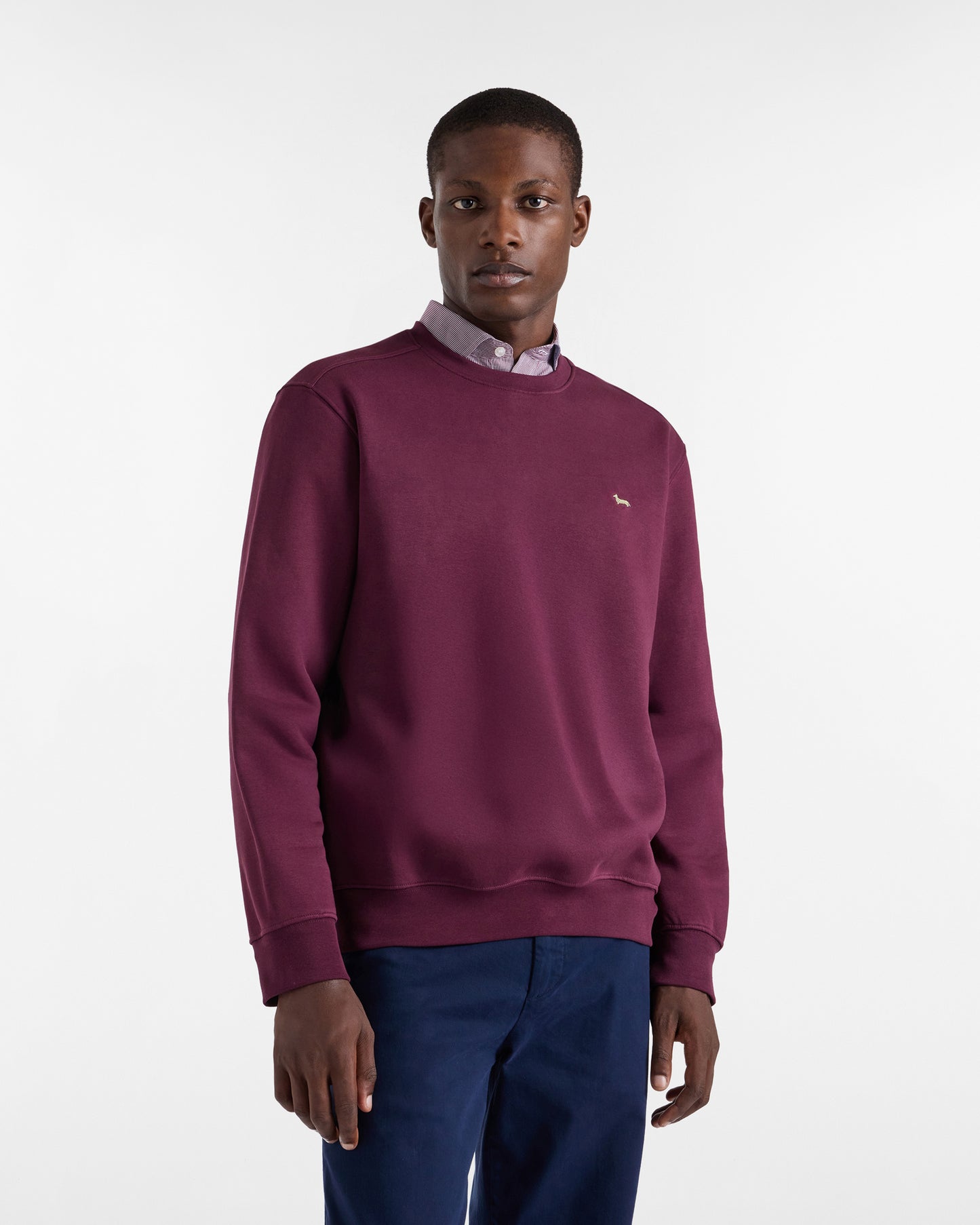Maglione uomo Harmont/Blaine